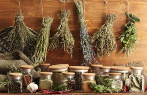 culinary & medicinal herbs rich in anti-oxidants